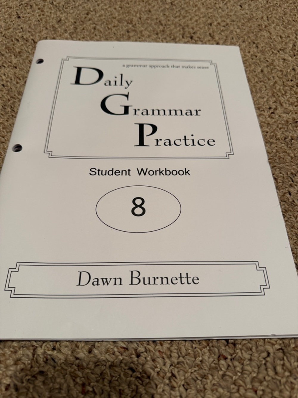 NEW Daily Grammar Practice Student Workbook 8th Grade /30 weeks practicd